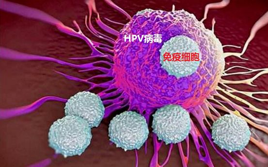 67健康冷知识 泡温泉后感染了hpv?