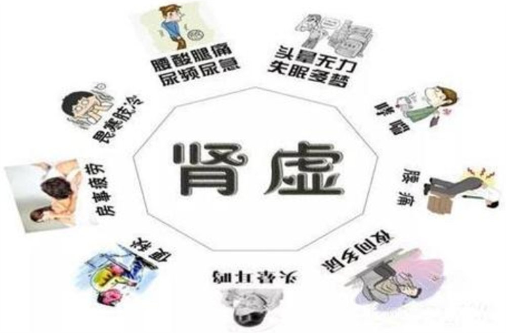 肾气不足,疲劳与腰膝酸软困扰不断?试试这些缓解方法_肾脏_问题_中药