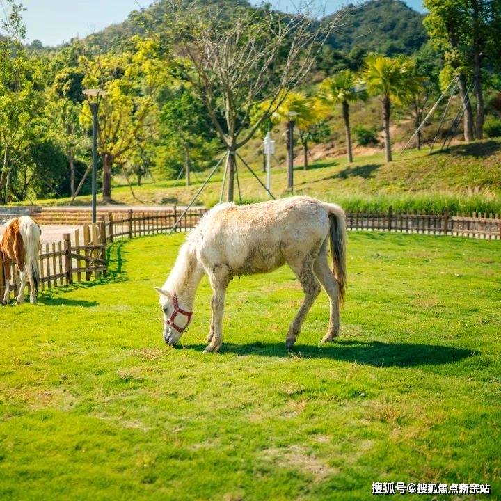 星河山海半島售樓處【首頁網站】星河山海半島歡迎您/地址/戶型/價格