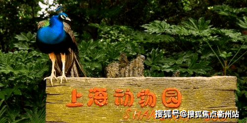 上海長寧區武寧路站【天山大廈】天山大廈優缺點分析_配套_小學_項目