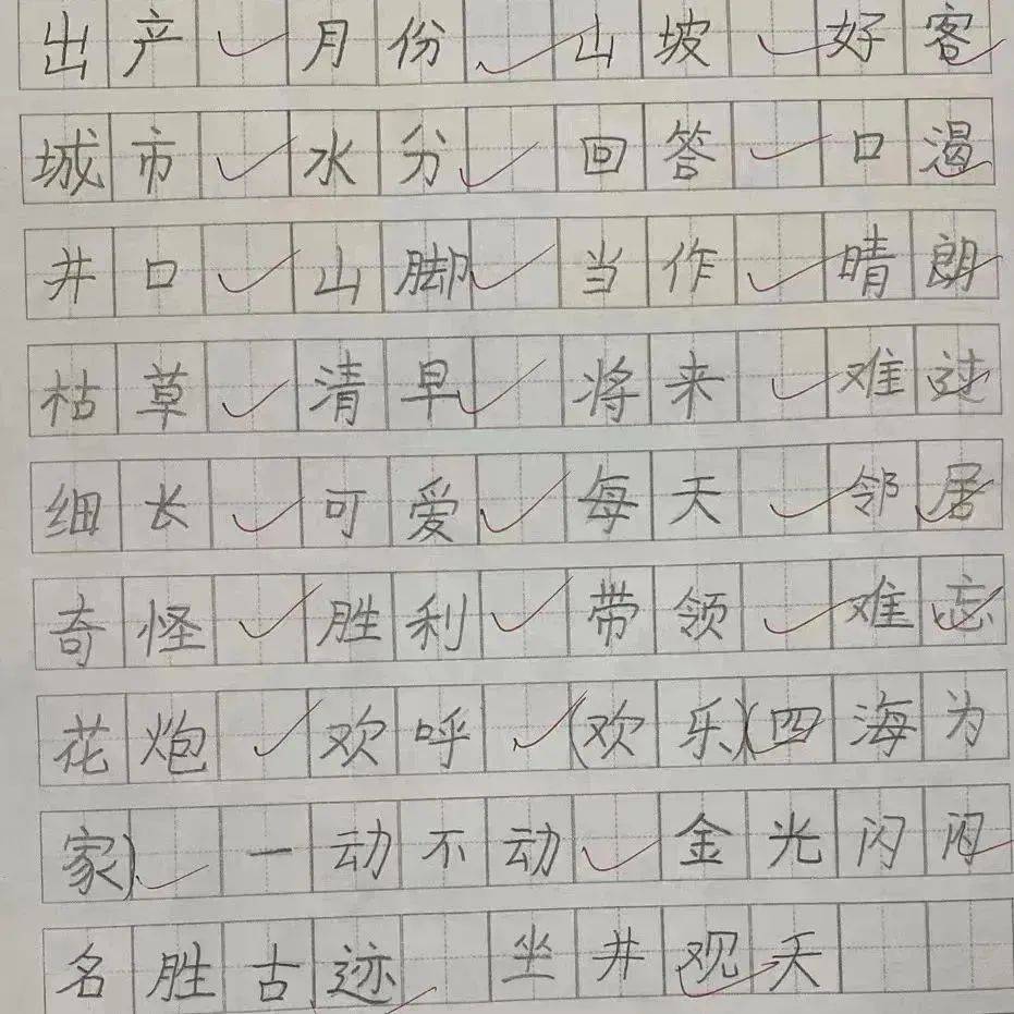 橫豎撇捺,勾點提折,書寫工整規範,一個個秀美的漢字躍然紙上.