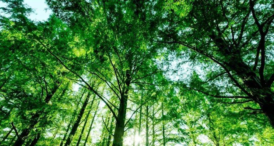 家居家装家电“三家融合”落地的三个难题-家电圈官网