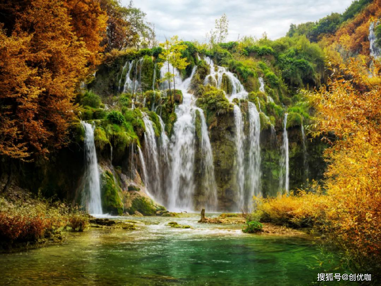 属虎招财风景图片图片