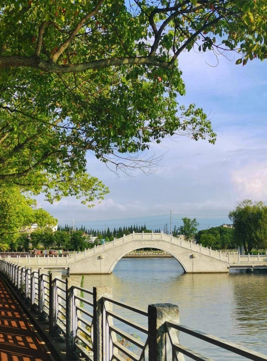 上海青浦香雪公园一处隐藏在郊区的美景