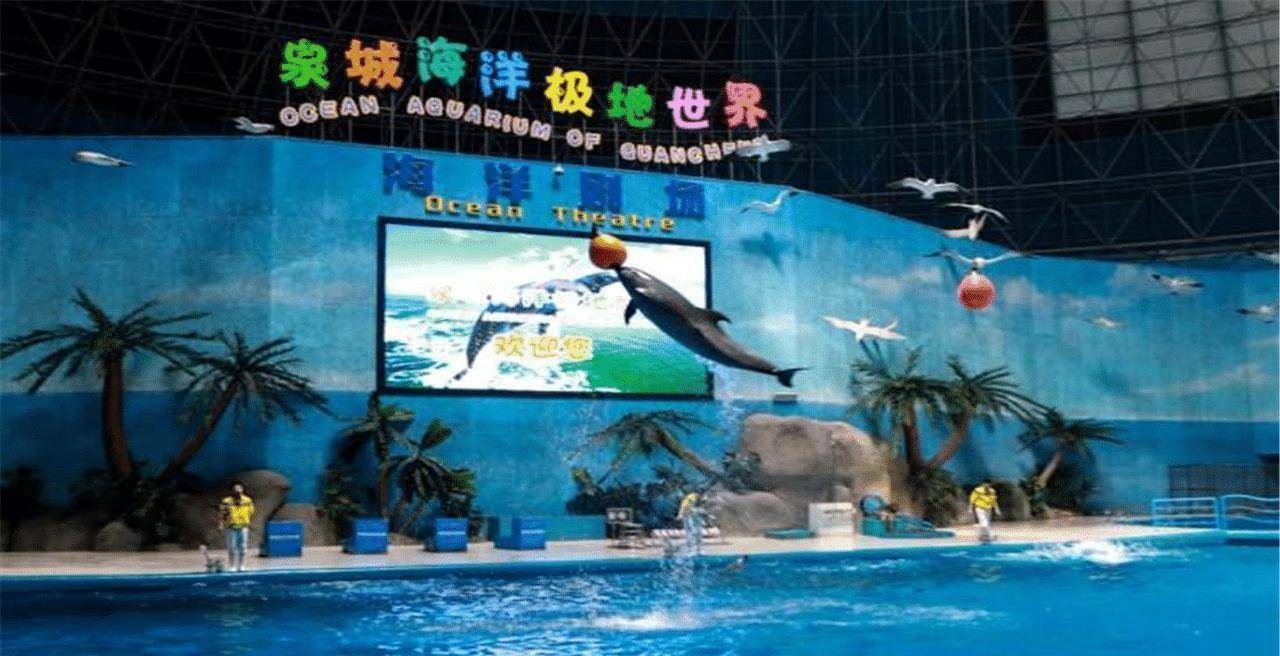 壁紙 海底 海底世界 海洋館 水族館 1280_656