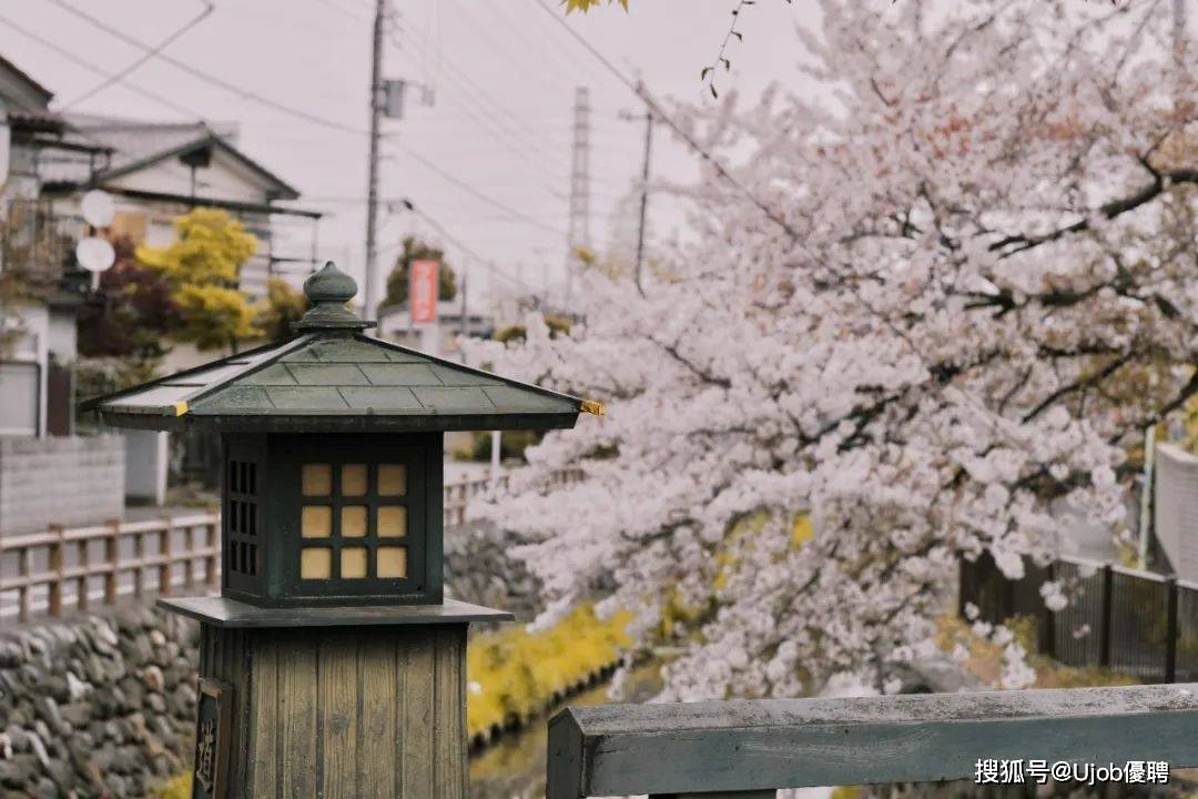 日本入境手续全面简化,已统一入境和海关二维码_签证_申报_旅游