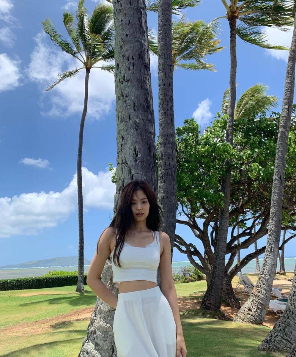 blackpink全员出动,夏威夷旅游照美上热搜,谁是你的心头爱?