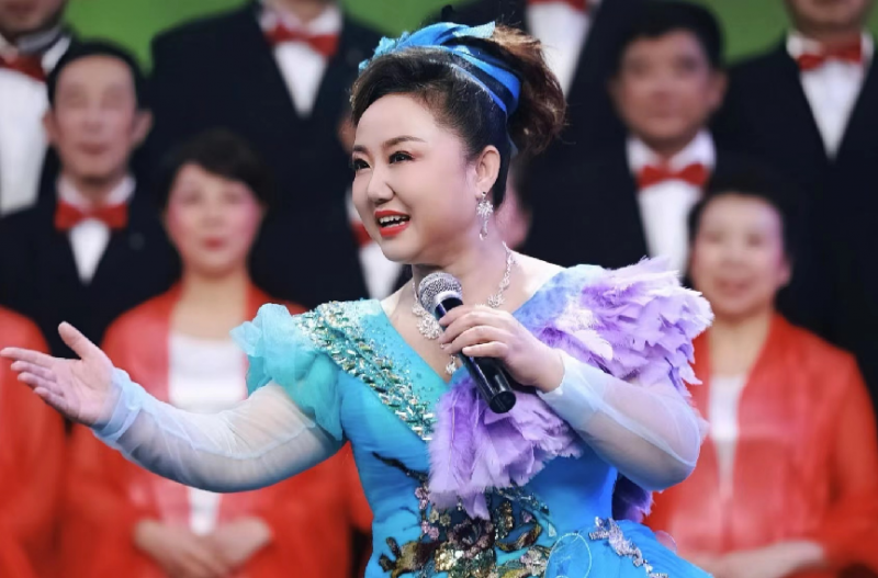 歌手高振雄闪亮登场主唱《海南民歌联唱》春晚现场书法家:雷克宝,林燕