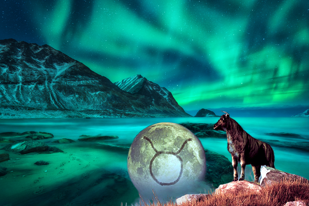 一月下旬,金牛座,心境变化,请你克制情绪,不要冲动_工作_事情_因为