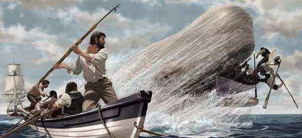 捕鲸水手表示:长满蛆虫的饼干无所谓,愤怒的抹香鲸才最恐怖_小艇_约翰