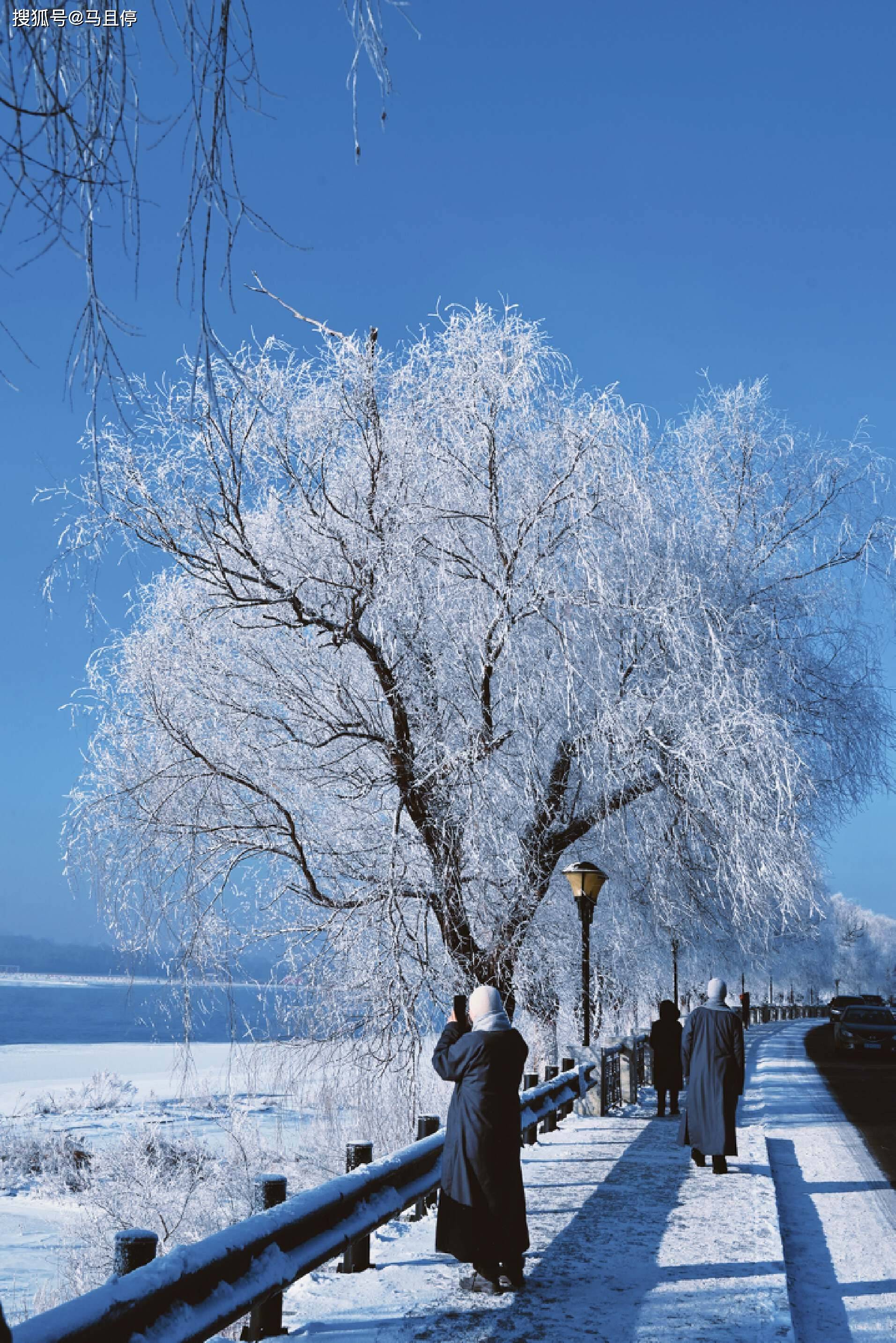 城市雪景图片 真实图片