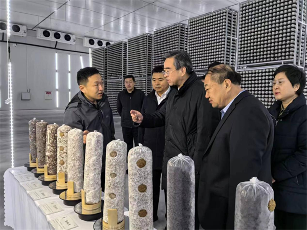 青岛市委书记曾赞荣到双塔食品子公司艾泽福吉调研_发展_产业_企业