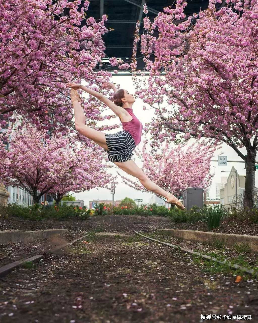 特别后悔为什么不从小学舞蹈_桃花_美人_春光