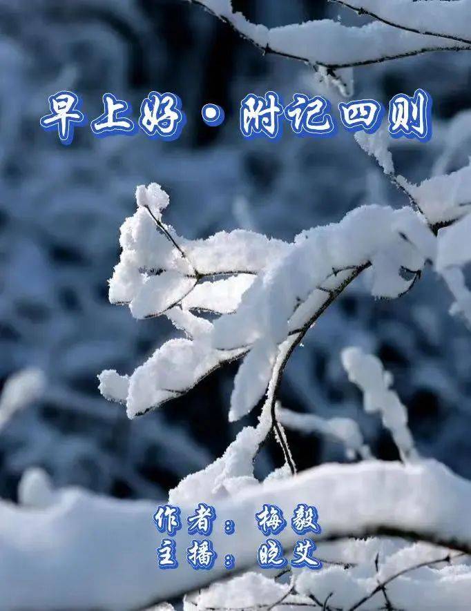 下雪了早安问候图片图片