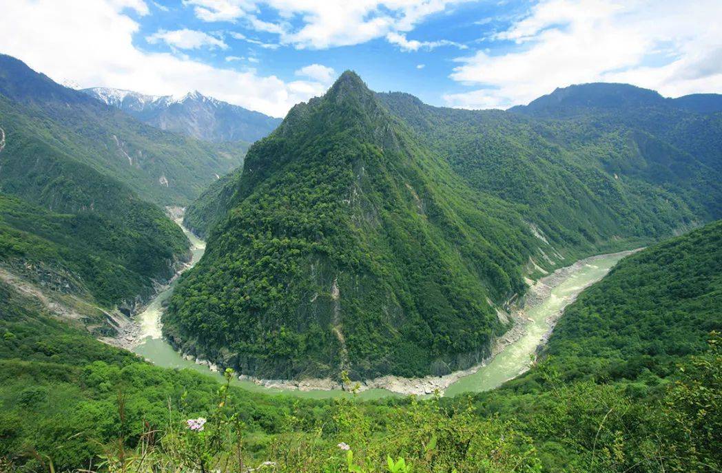 雅鲁藏布江河谷植被图片