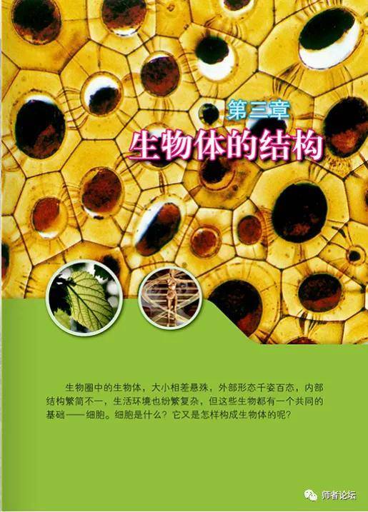 北京版七年级上册生物电子课本高清完整版
