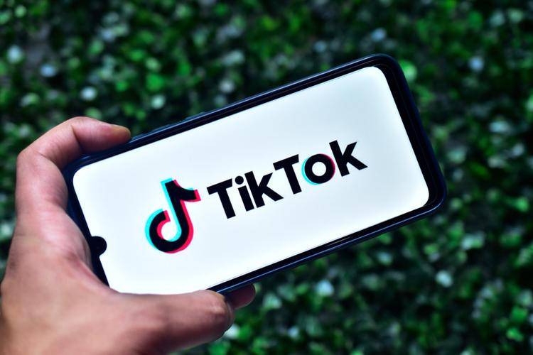 TikTok快速涨粉技巧：一周突破20万的秘诀大公开！