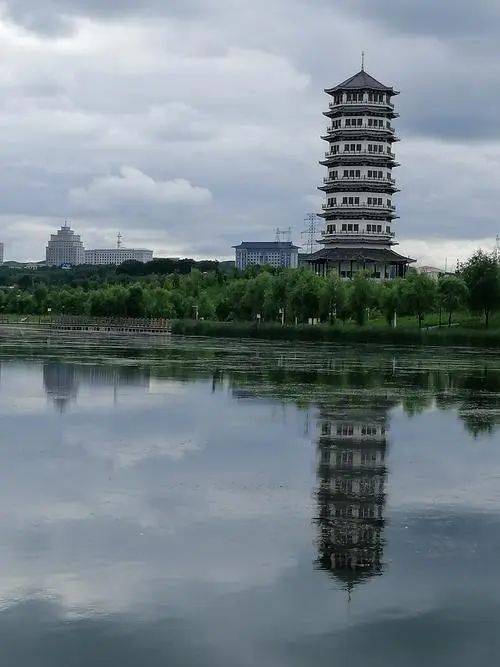 双鸭山招聘公益性岗位人员61人公告_友谊县_社保_名称