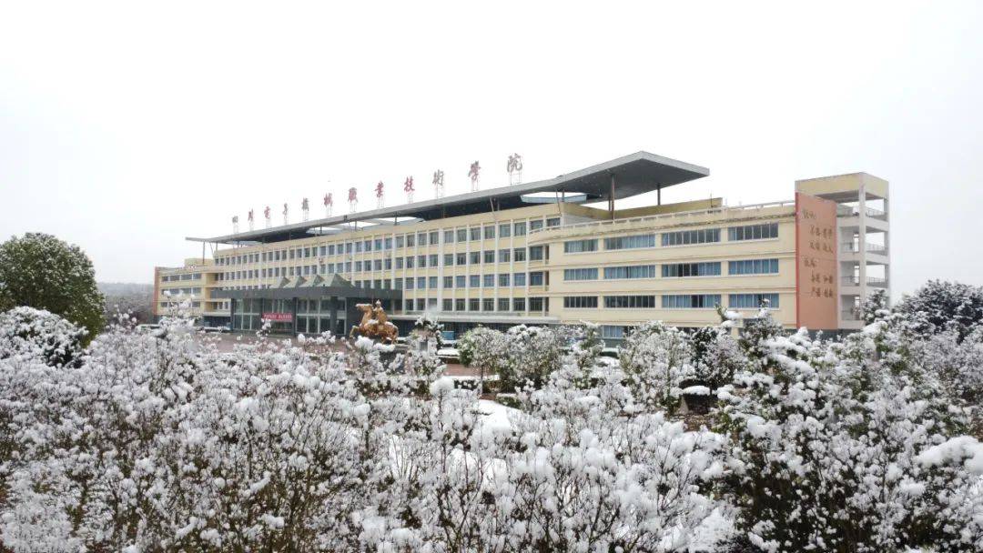 四川电子机械职业技术学院校园雪景大赏!_雪花_电机_美景
