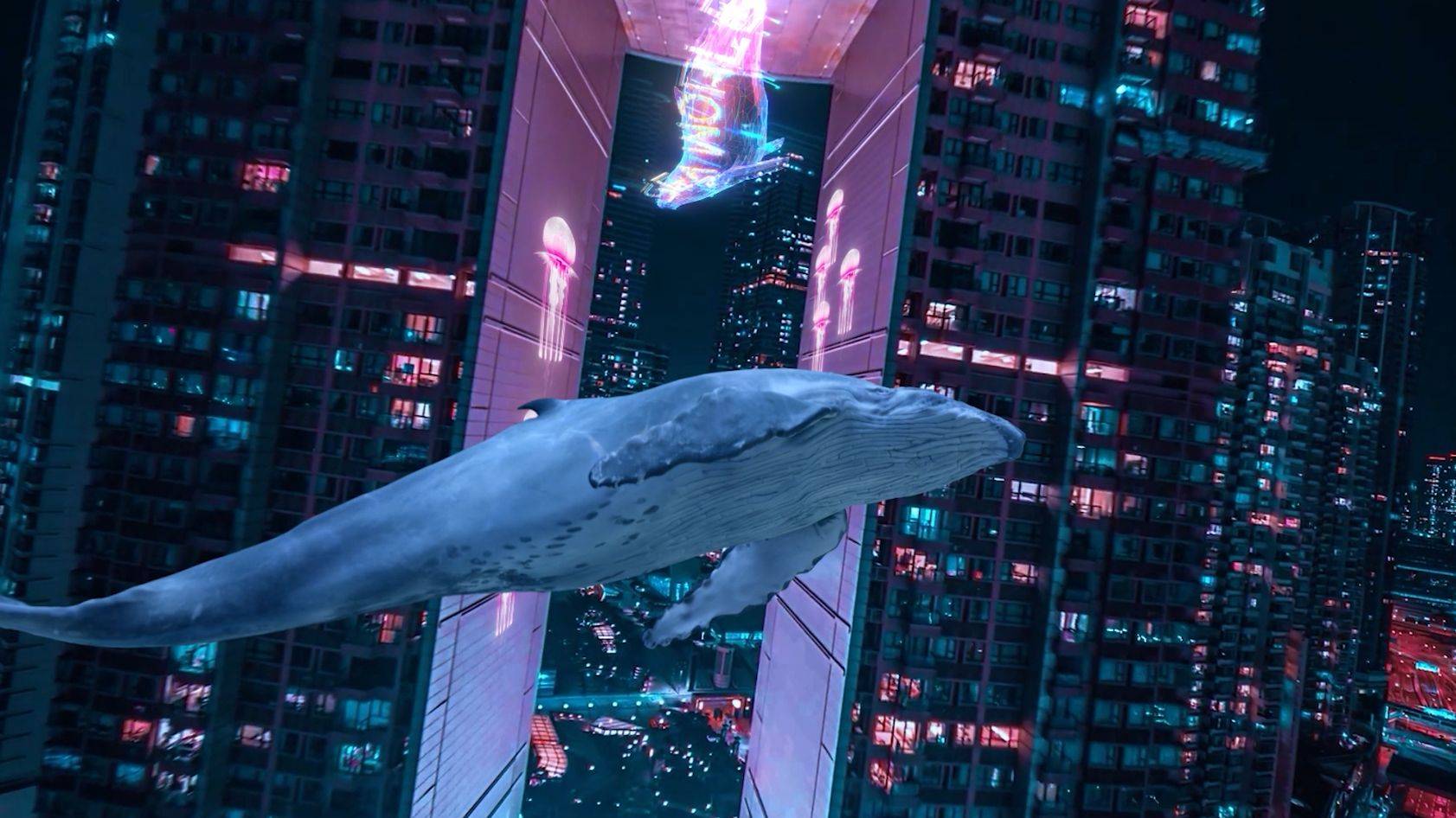 建议_效果_调整