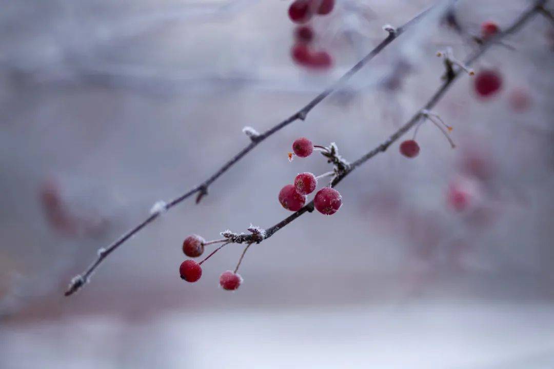 【著名詩人】趙天然癸卯詩詞選粹_乾坤_白雪望_風雨