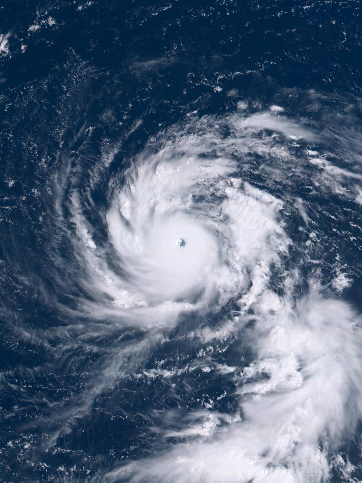 台风与飓风,究竟有什么区别?你真的了解吗?看完涨知识了!