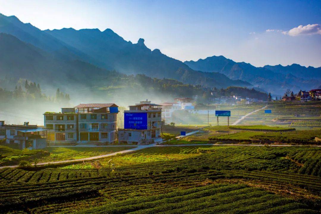 陈小林:我眼中的新河_利川_毛坝镇_湖北