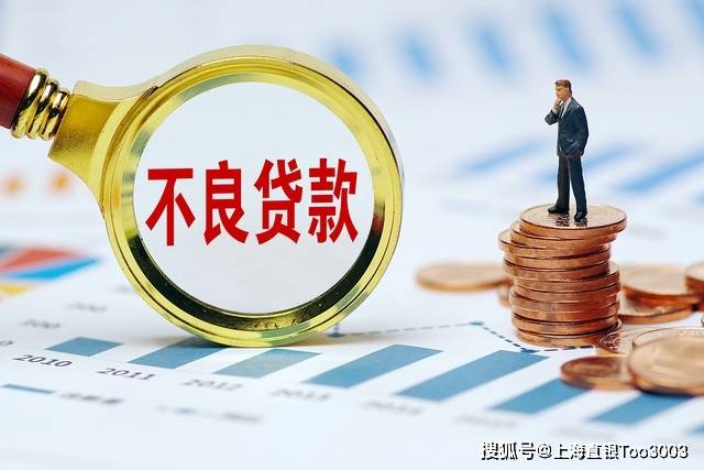 可以协助债务重组人向主要银行和其他金融机构申请贷款,用来结清垫资