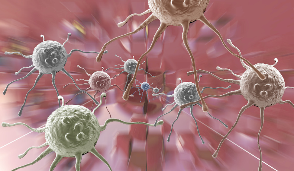 癌细胞杀不完?试试让肿瘤"永久休眠"看看效果!