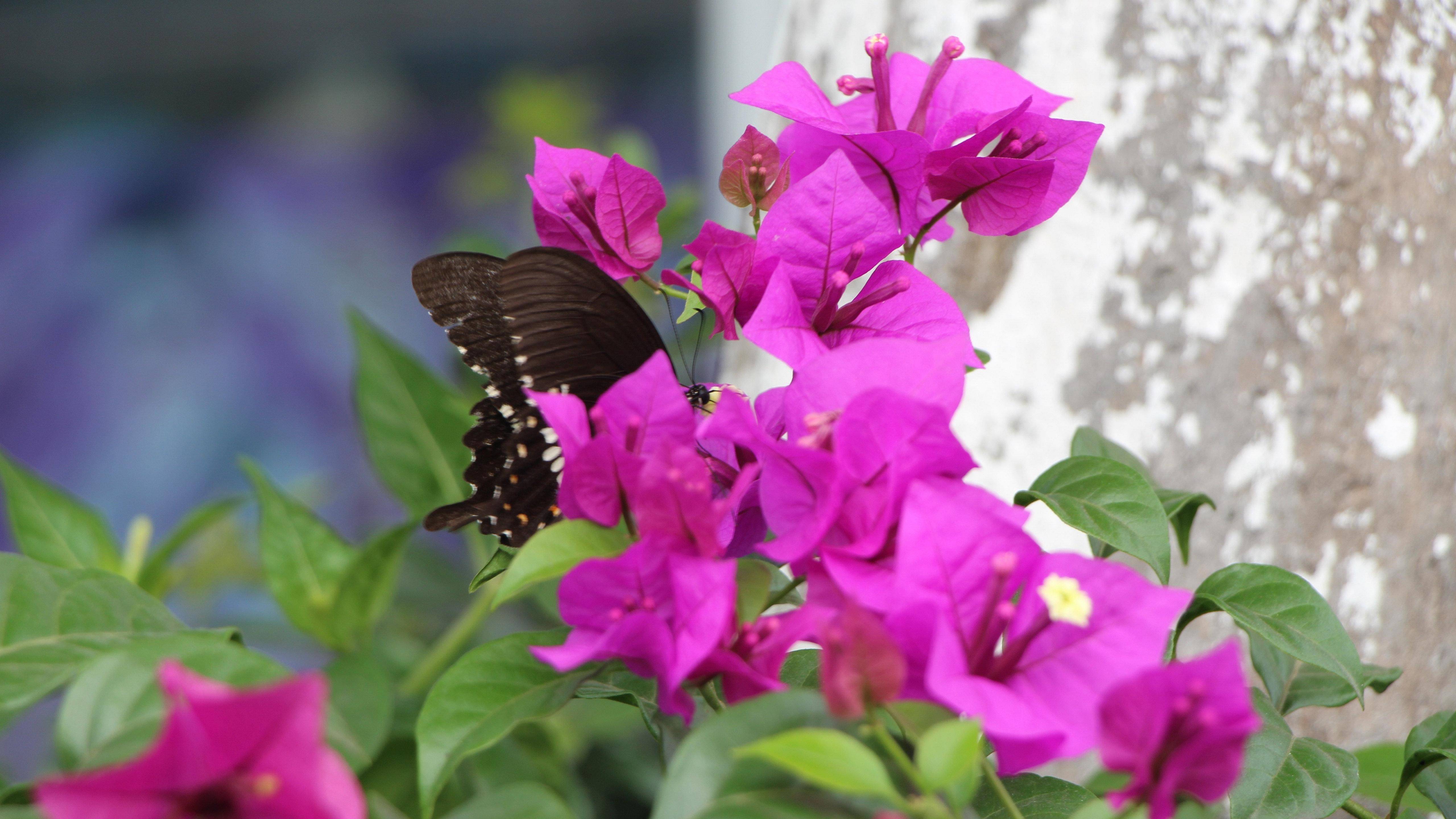坚韧不拔,财运亨通的4大星座,生活富足,财富源源!_投资_机会_事业