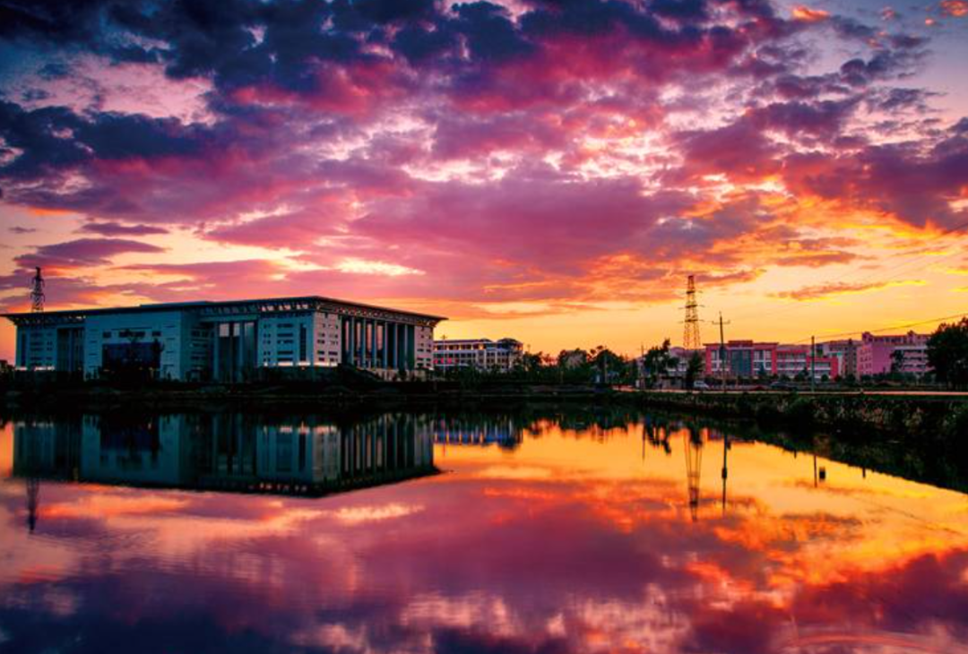 采购环卫设备,曲靖市发布招标公告_宣威市_增加值_同比增长