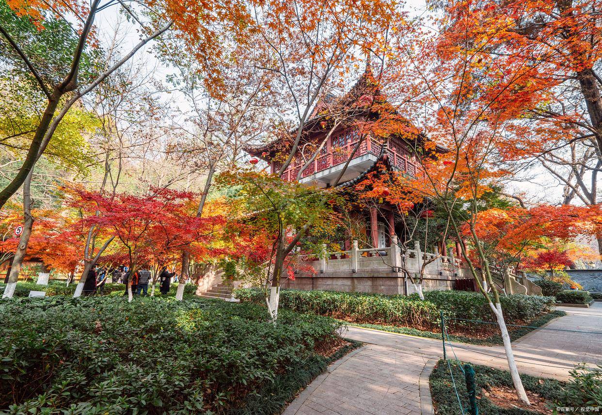 華東旅行社報團旅遊,棲霞山服務質量比較好的旅行社