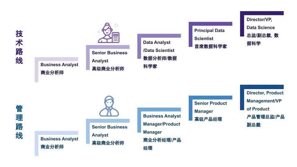 商业分析专业人士的职位和职业机会包括但不限于:管理分析师/顾问