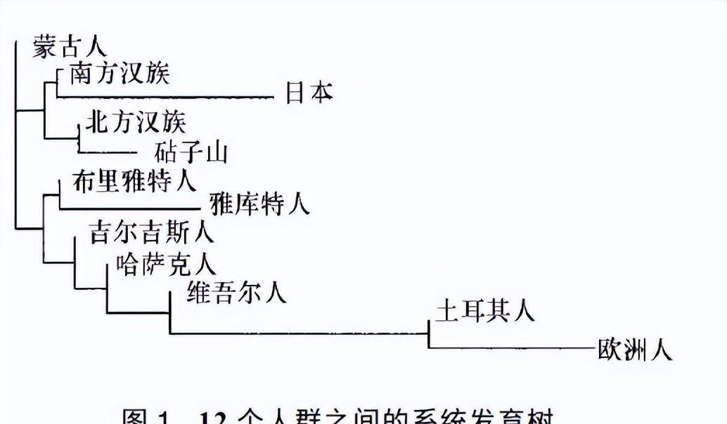 最新數據:忽必烈汗的元上都砧子山墓地古代dna信息_an