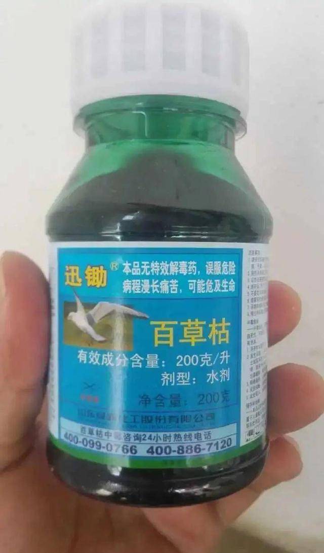 只是百草枯虽然在农业方面发挥着巨大的作用,但很快这种农药就报道出