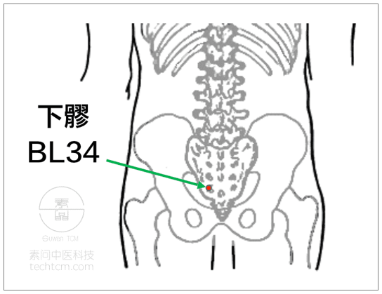 引天火治大病 | 我學倪師灸法的總結筆記_方法_艾灸