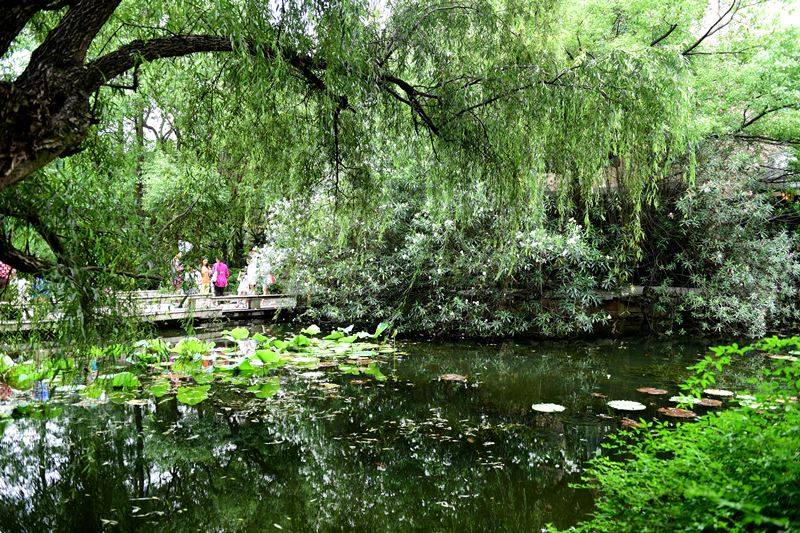 上海人民公园封园图片