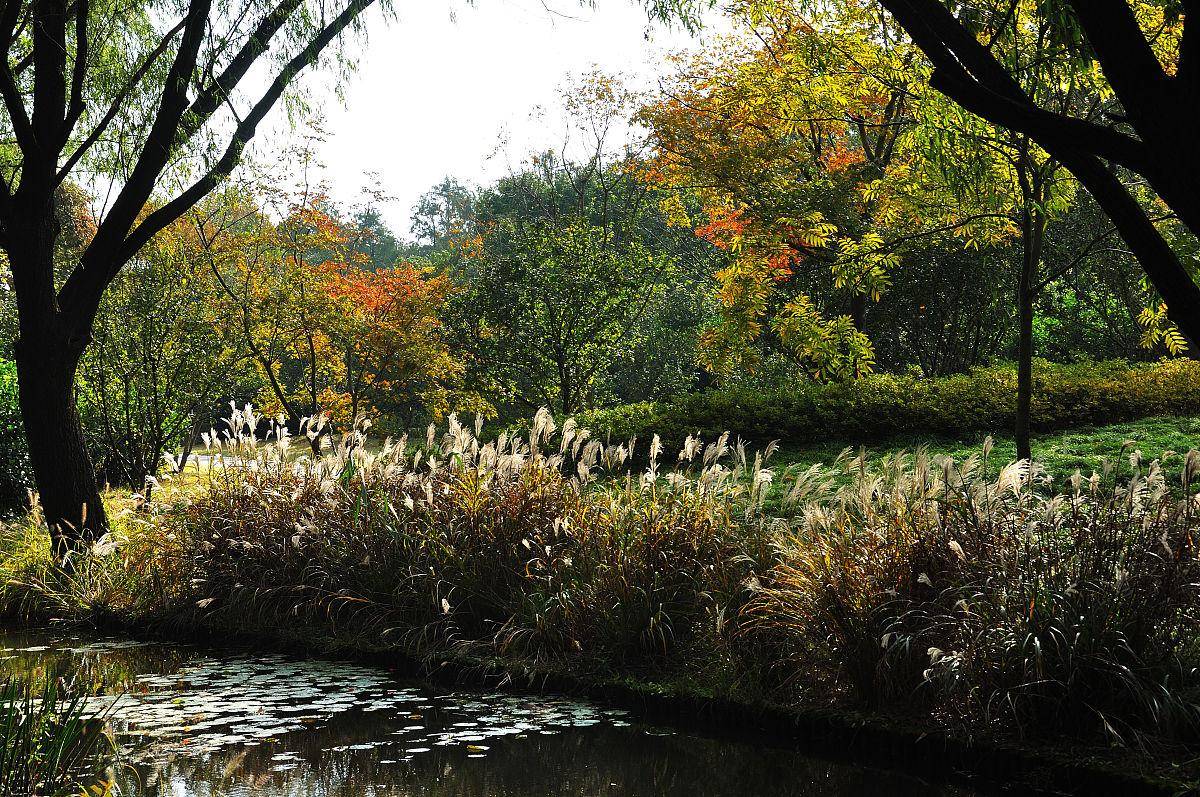 上海徐汇梦公园隐藏在大都市的景色_大自然_游客_宁静