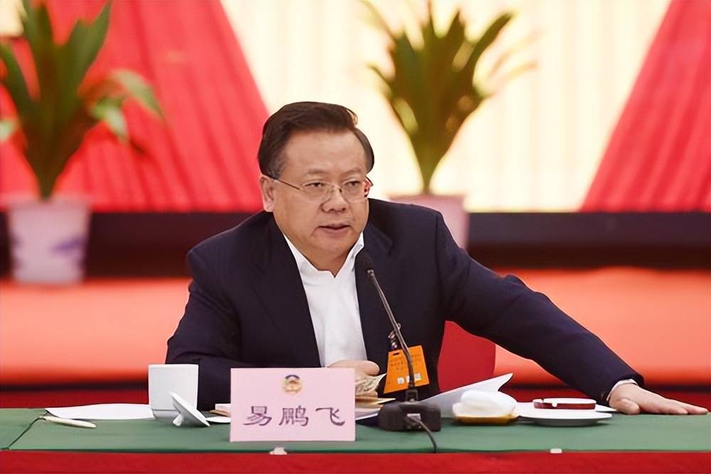 市长易鹏飞,接替已经出任省政府秘书长的向力力,担任郴州市委书记一职