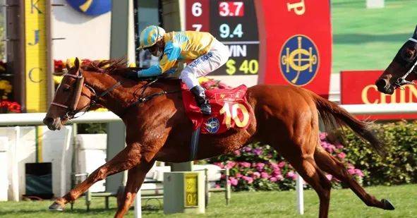 "农历新年赛马日"大年初三开跑_沙田马场_贺年_赛事