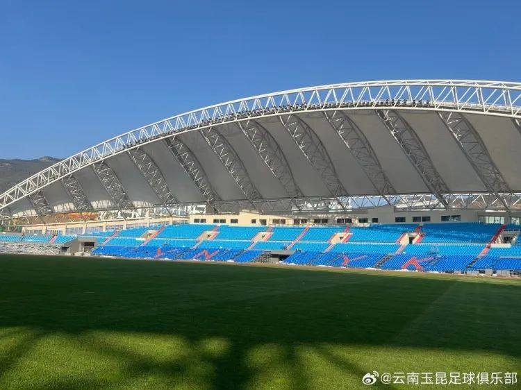 投入超8000万,刚引进李金羽,剥夺联赛资格_云南_玉昆_丹东