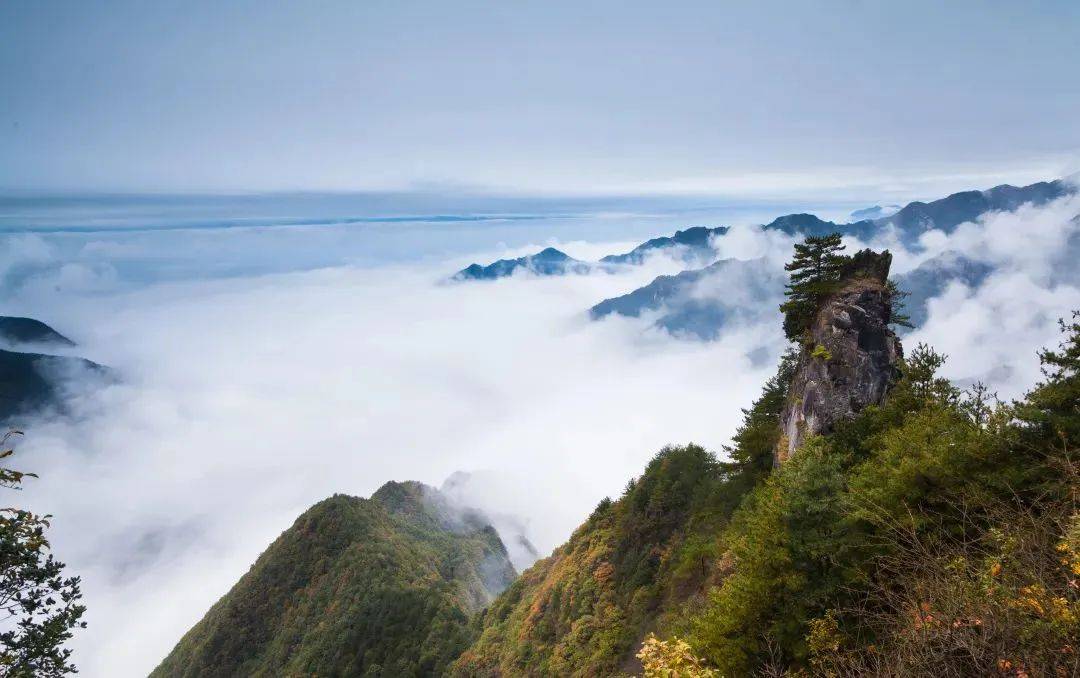 三天:徐家坪景區——白水江蘇維埃政府舊址——羌文化展示中心第二天