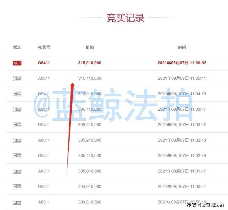 法院拍卖房子银行流水 来自搜狐网
