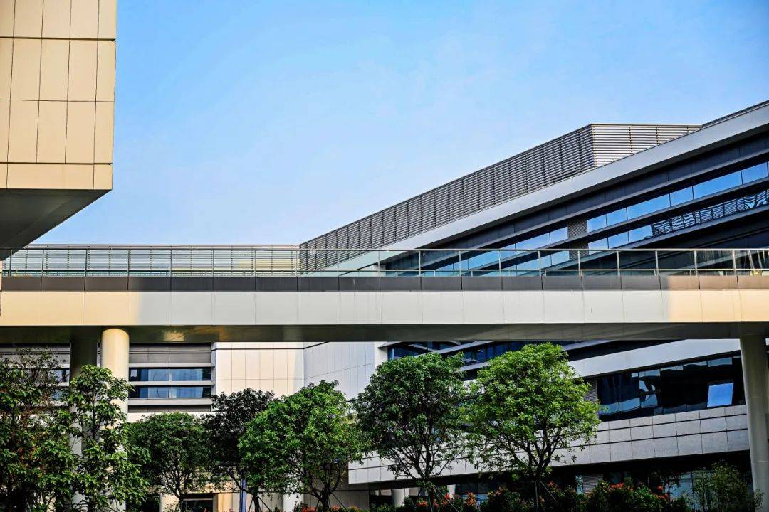 香港城市大学(东莞)一期校园启用_湾区_学术_科学