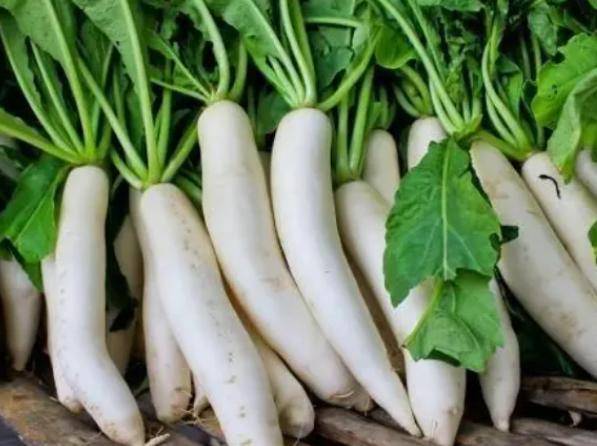 白萝卜是结节的"加速剂"吗?医生:不想结节癌变,尽量少