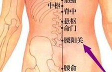 按摩,刺激腰陽關穴,並配伍腰夾脊穴,秩邊穴,承山穴,飛揚穴,可治療