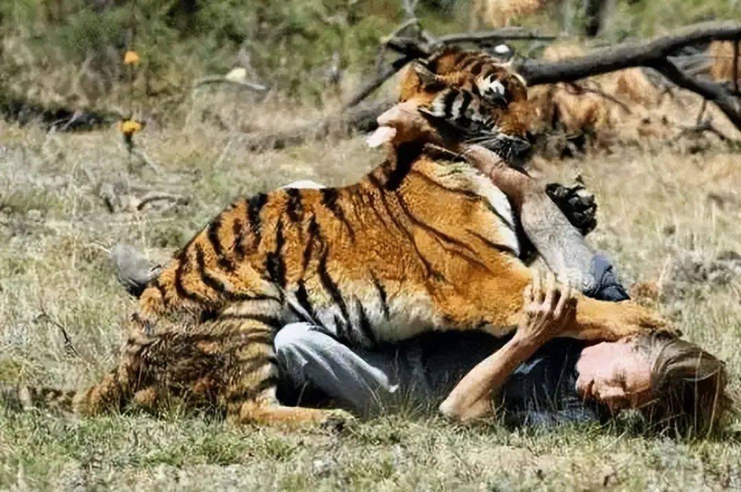 人类和野生动物的接触日益增多.