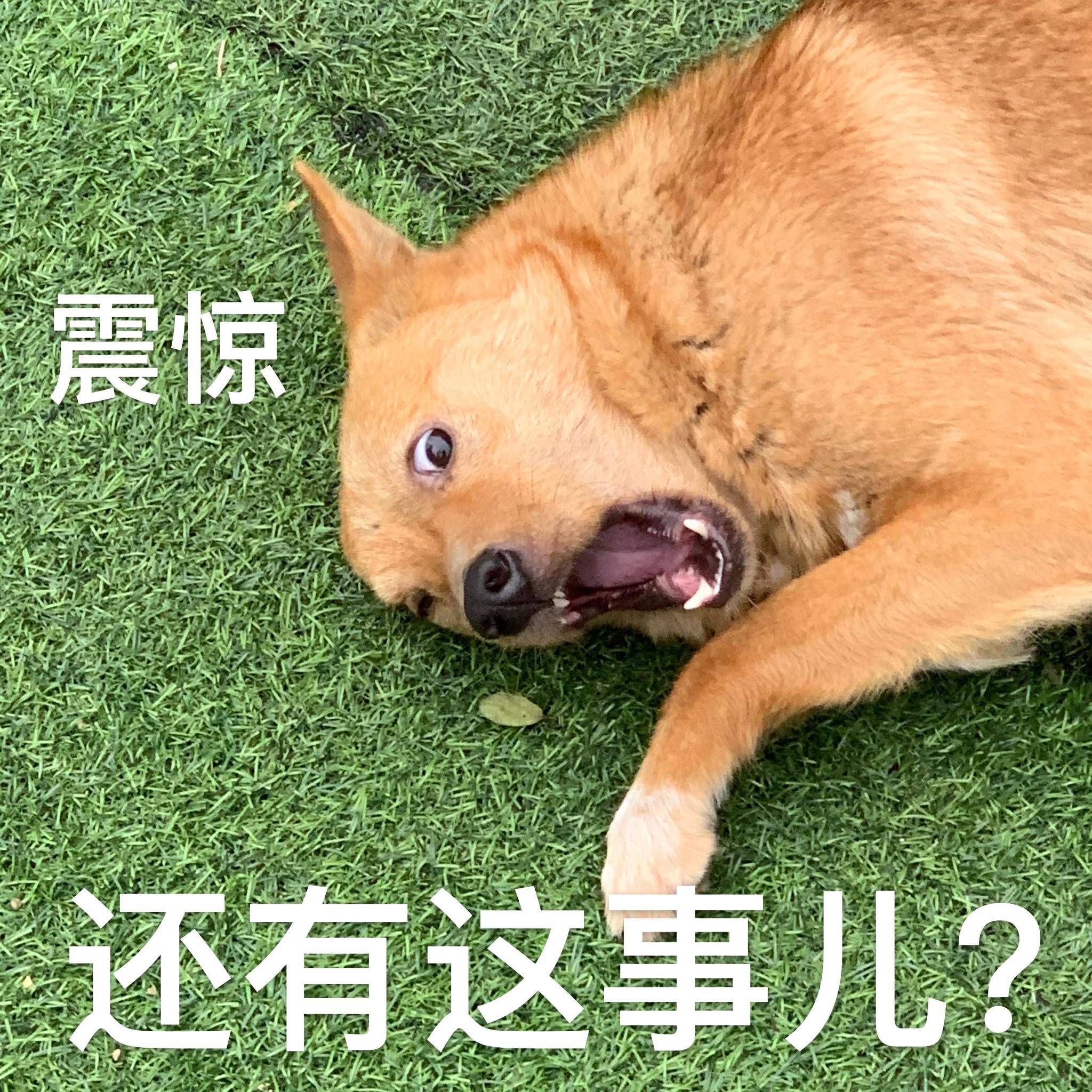 …还能像以前一样牵着我的手过马路吗?