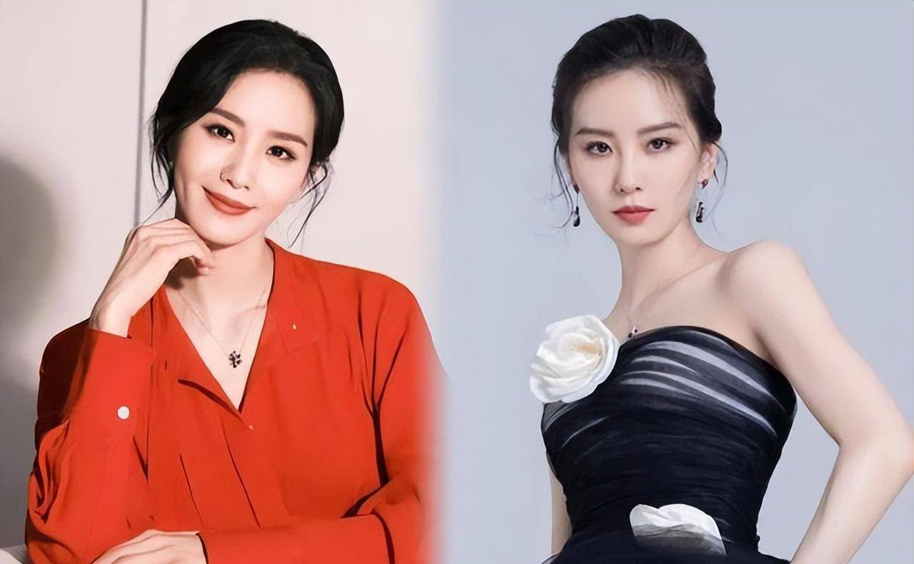 36岁刘诗诗被质疑做了医美大变样,网友扒出以前照片进行对比_感觉