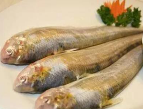 很多网友说自己想花钱都吃不上刀鱼,因为现在刀鱼基本上都是人工养殖